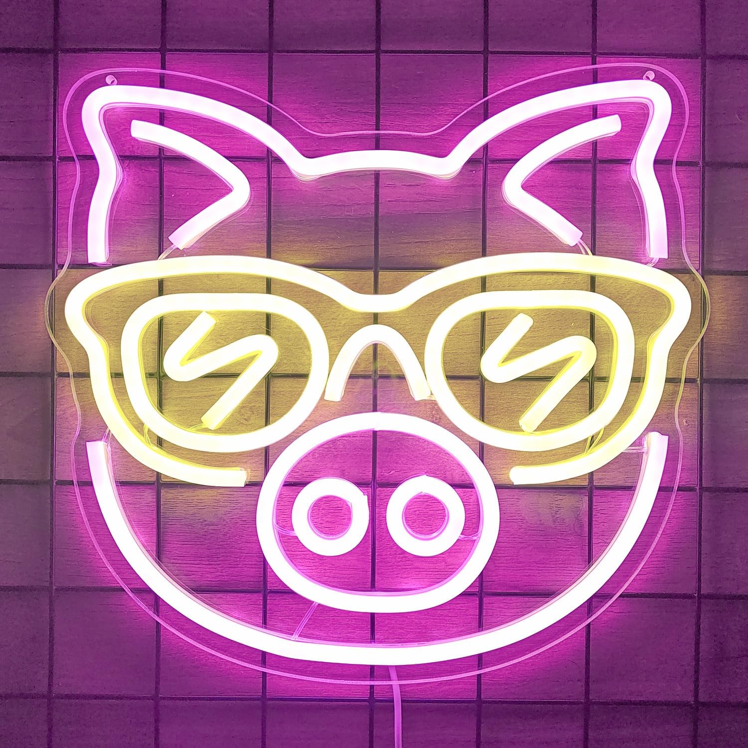 Pink Pig with Yellow Glasses N - Outdoor Lighting Decor Ideas review and price