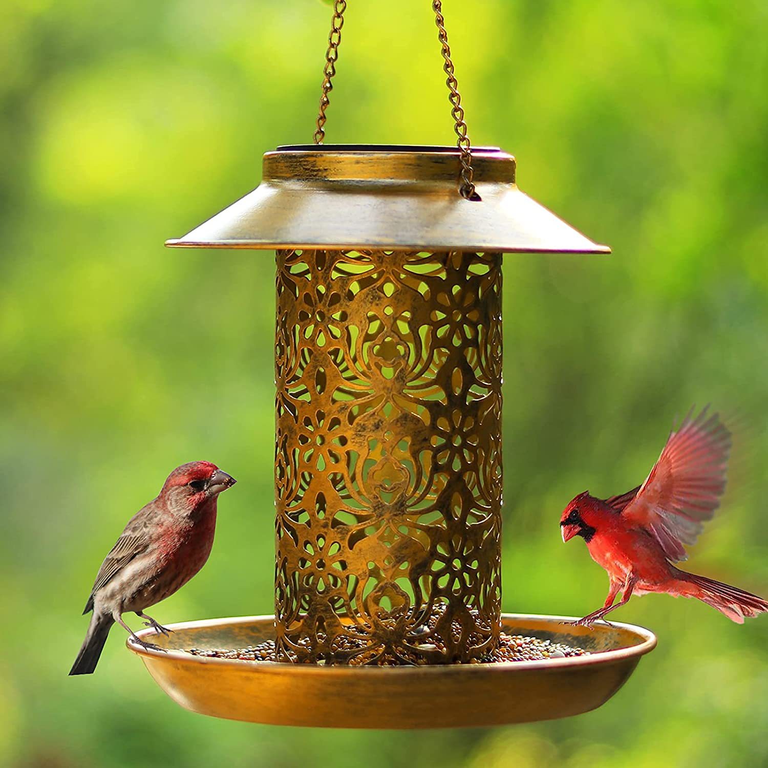 Hanging Bird House Metal Outdo - Outdoor Lighting Decor Ideas review and price